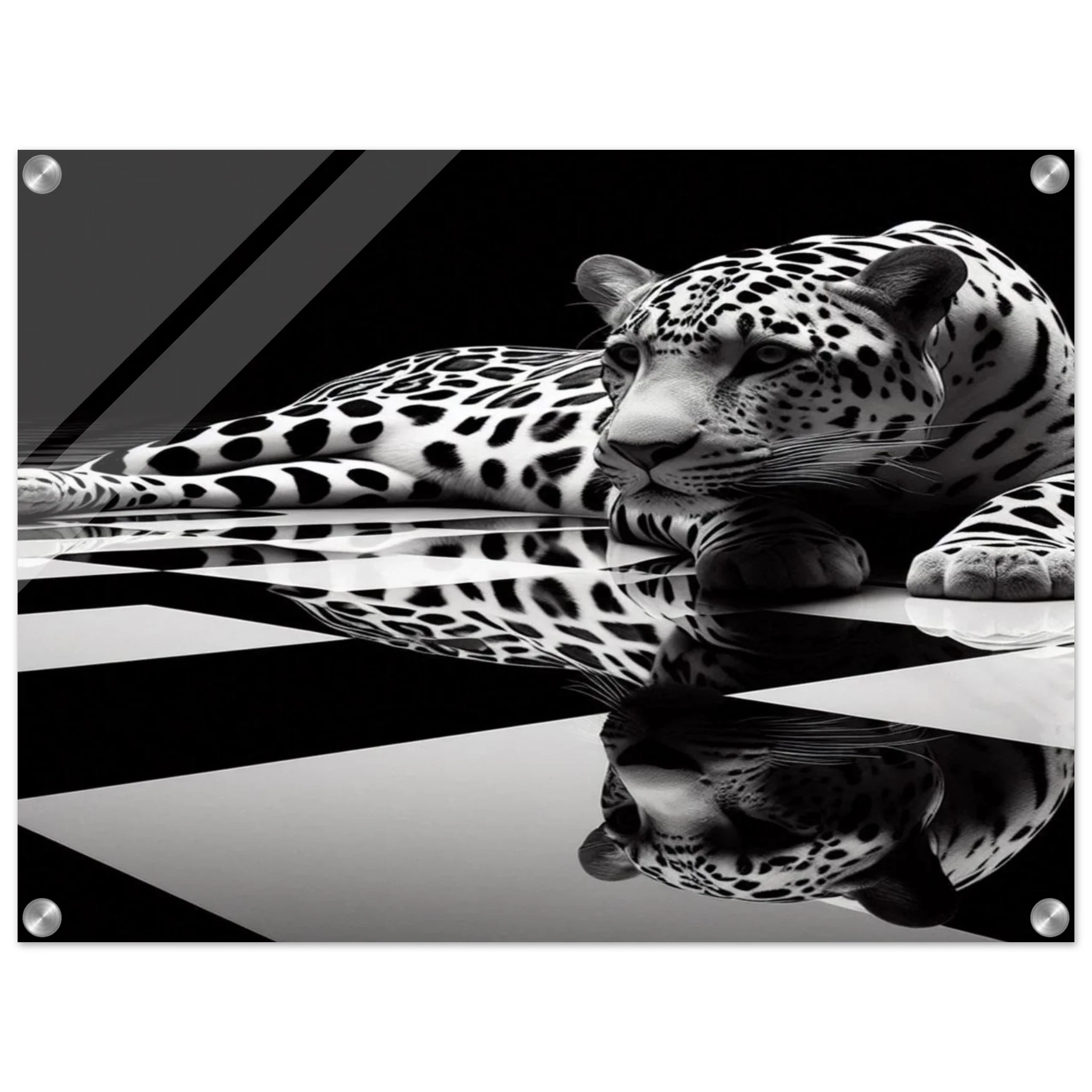 Leopard Acrylic Print on Black and White Checkered Floor – Glossy Finish Wall Art - Print Material -