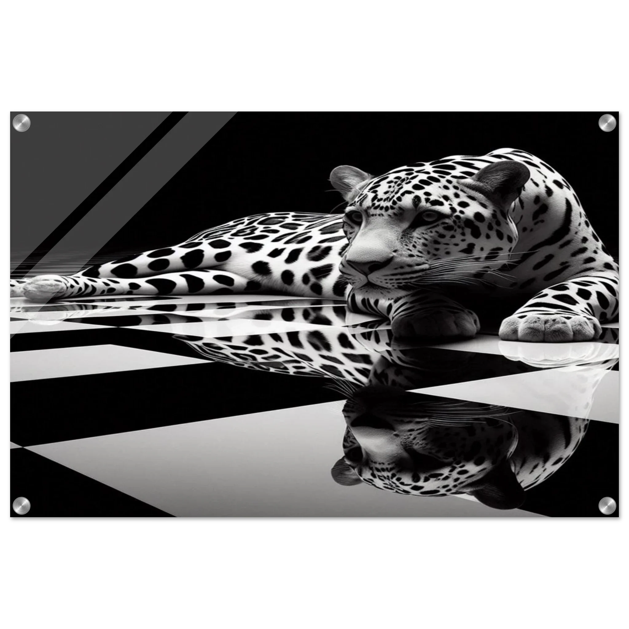 Leopard Acrylic Print on Black and White Checkered Floor – Glossy Finish Wall Art - Print Material -