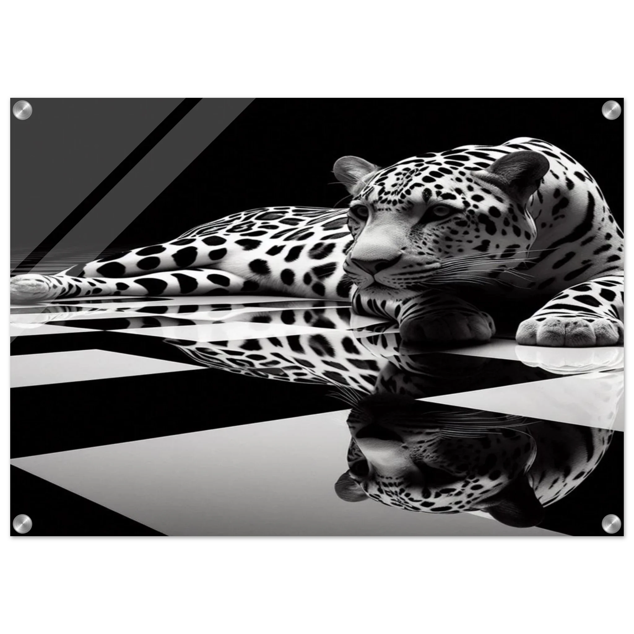Leopard Acrylic Print on Black and White Checkered Floor – Glossy Finish Wall Art - Print Material -