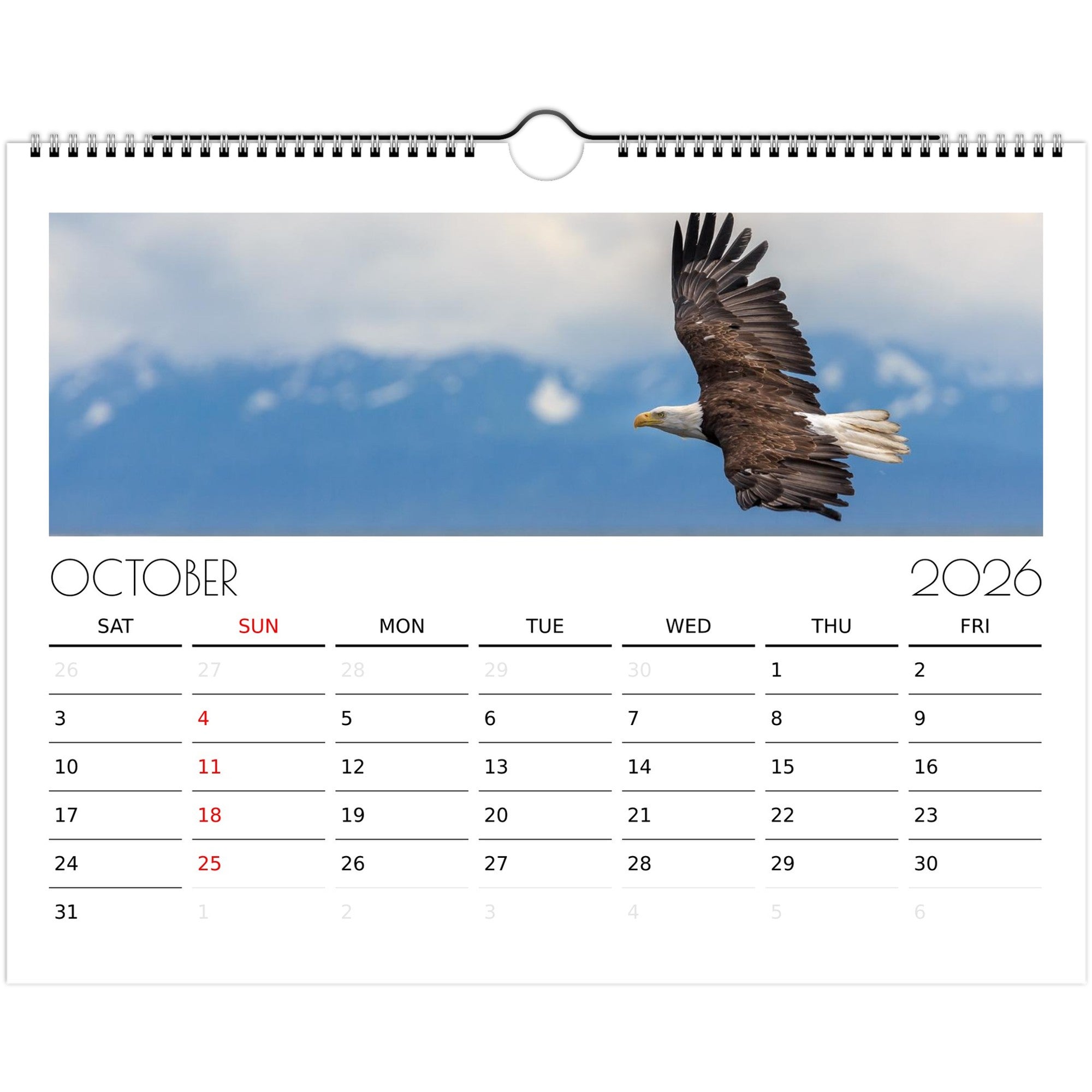 ccc35178-7bb0-4634-9101-6c38b4c589d9